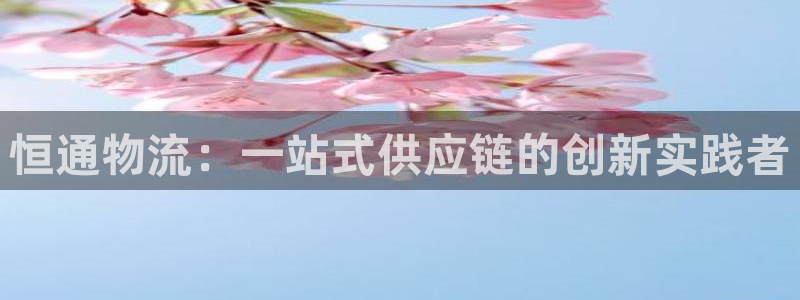 超凡国际入口问一问：恒通物流：一站式