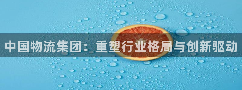 超凡国际加拿大怎么玩：中国物流集团：