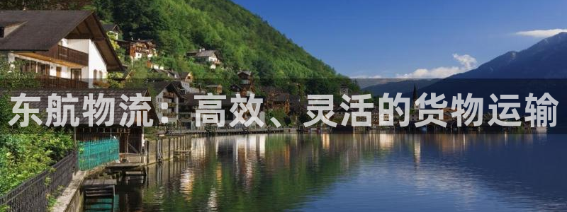 超凡国际官网网站：东航物流：高效、灵