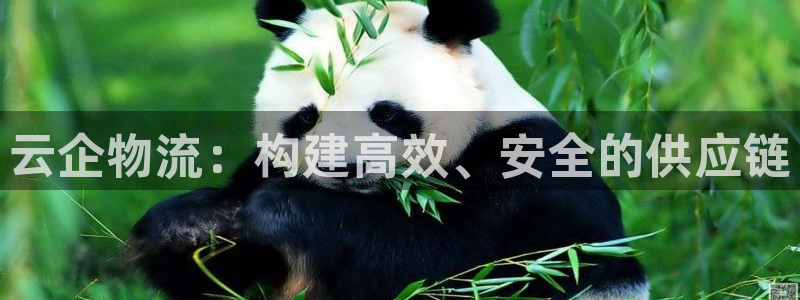 超凡国际官网平台