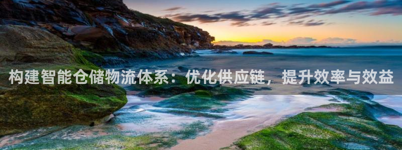 超凡国际充值不处理：构建智能仓储物流