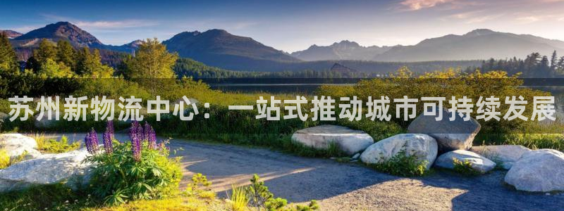 超凡国际旗下