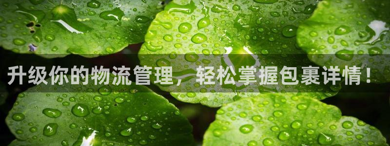 超凡国际百度百科：升级你的物流管理，