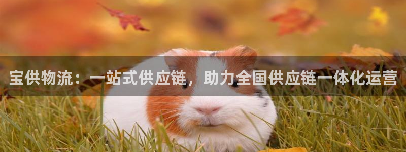 超凡国际的平台