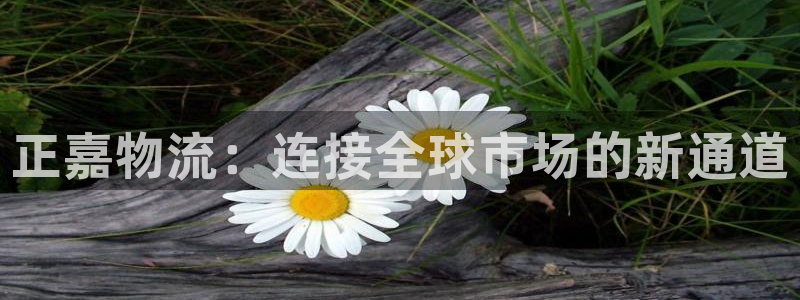 超凡国际加拿大app预测：正嘉物流：