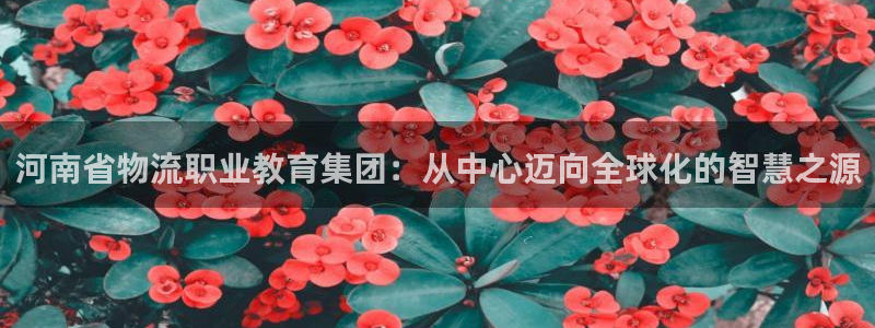 超凡国际预测网：河南省物流职业教育集