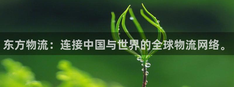 超凡国际app官网少林足球：东方物流