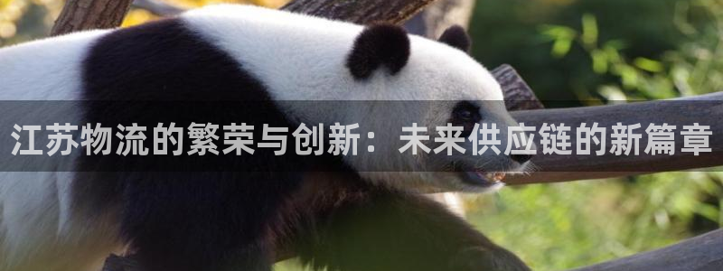 超凡国际图片