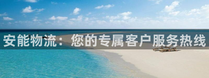 超凡国际加拿大真假怎么看:安能物流: