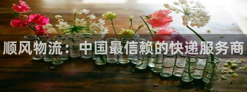 超凡国际和南宫28什么关系:顺风物流