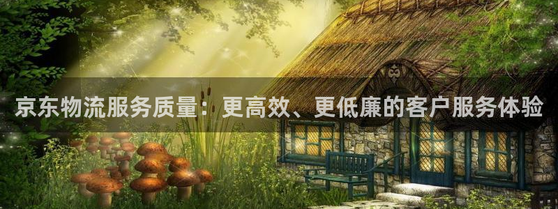 超凡国际注册与教程:京东物流服务质量