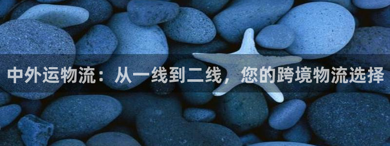 超凡国际加拿大预测:中外运物流:从一