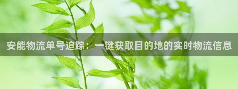 超凡国际ccm游戏：安能物流单号追踪：一键获取目的地的实时物