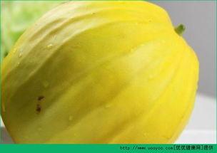 绿色连皮吃的瓜,美味与健康共存的瓜果新体验