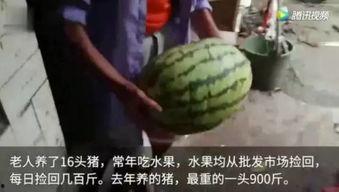 吃瓜榜完整视频,完整视频深度解析