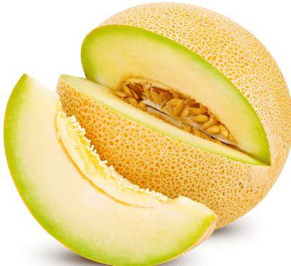 小柚子哈密瓜吃鸡蛋吗,探索鸡蛋的美食之旅