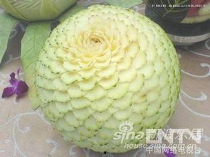 吃瓜的艺术视频,跟随视频一探究竟