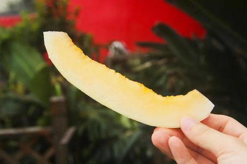 超强的吃瓜速度,揭秘娱乐圈最新猛料!