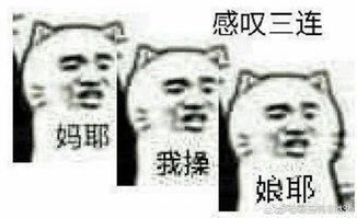 吃瓜等下班