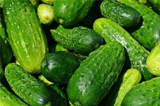 梦见在饭店吃瓜,饭店瓜香四溢,揭秘潜意识中的美食诱惑