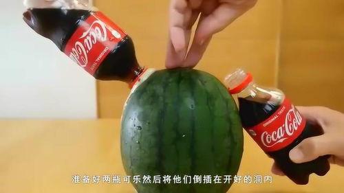 可乐吃瓜孿,夏日消暑新风尚